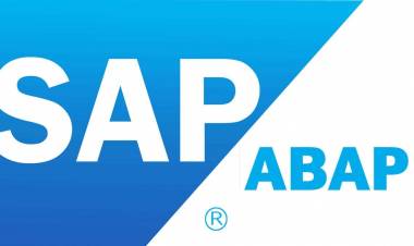 SAP Uzmanı – SAP Entegrasyonu ve ERP Çözümleri | Hakan